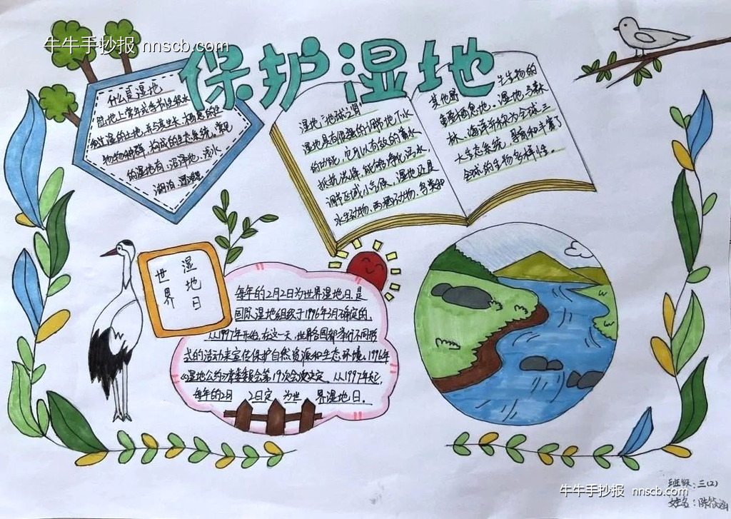 保护湿地 | 小学三年级世界湿地日手抄报7张-第5张