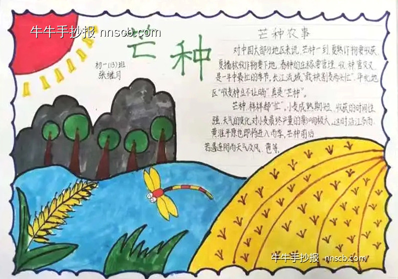 简单的初中初一年级芒种节气手抄报7张-第6张