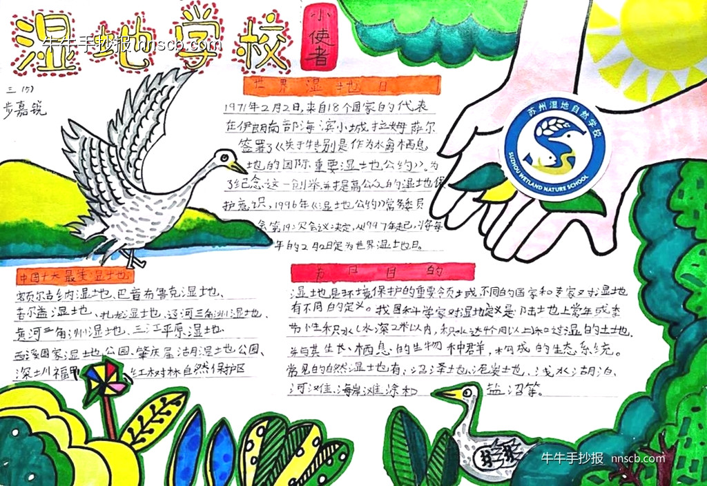 简单的三年级世界湿地日手抄报精选5张-第4张