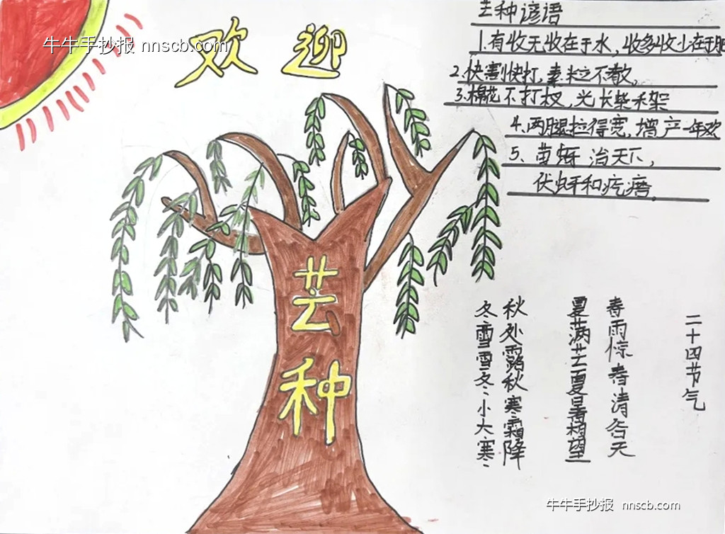 初中初一年级芒种手抄报简单又漂亮7张-第2张