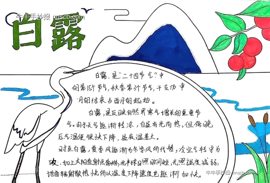白露收残暑 | 小学六年级白露手抄报3张-第3张