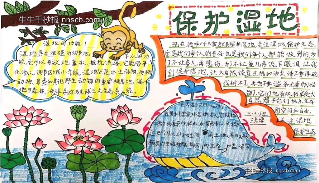 保护湿地 | 小学三年级世界湿地日手抄报7张-第7张