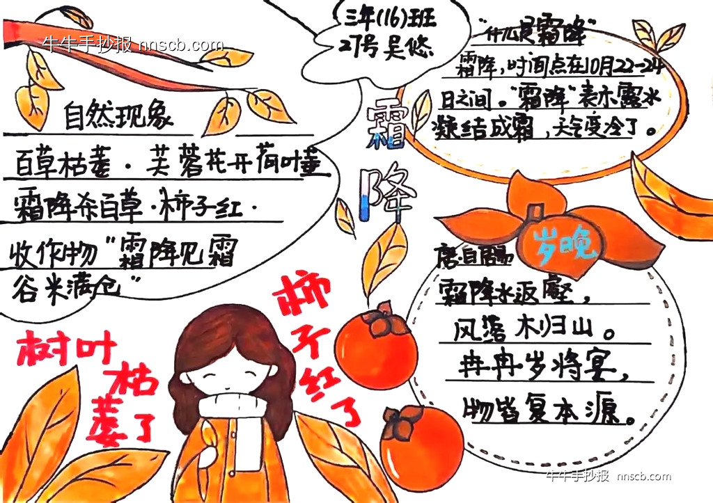 简单又漂亮的小学三年级霜降节气手抄报精选8张-第5张