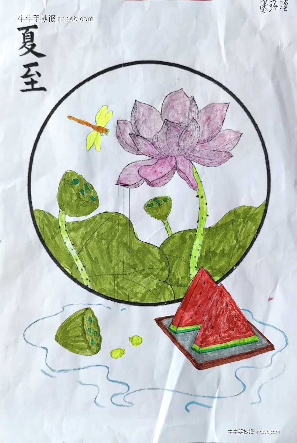 简单的小学三年级二十四节气夏至手抄报3张-第2张