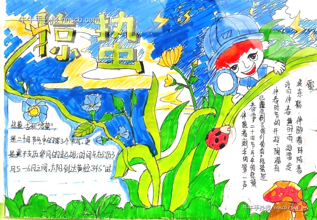 漂亮的小学生二十四节气惊蛰手抄报6张-第2张