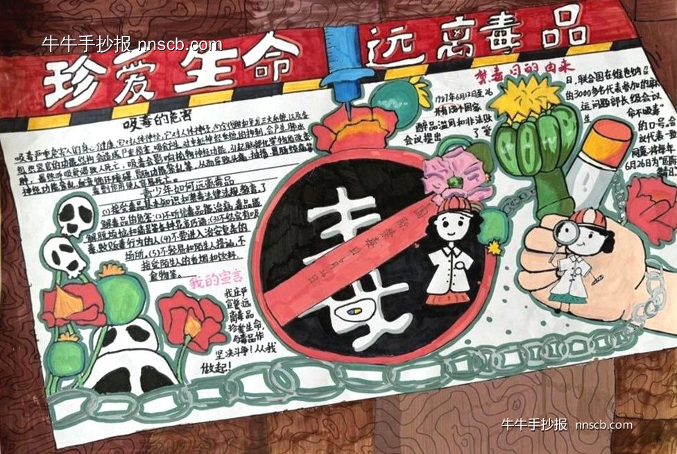 国际禁毒日 | 简单又漂亮的禁毒手抄报6张-第3张