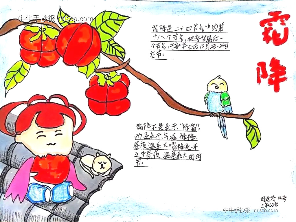 简单又漂亮的小学三年级霜降节气手抄报精选8张-第3张