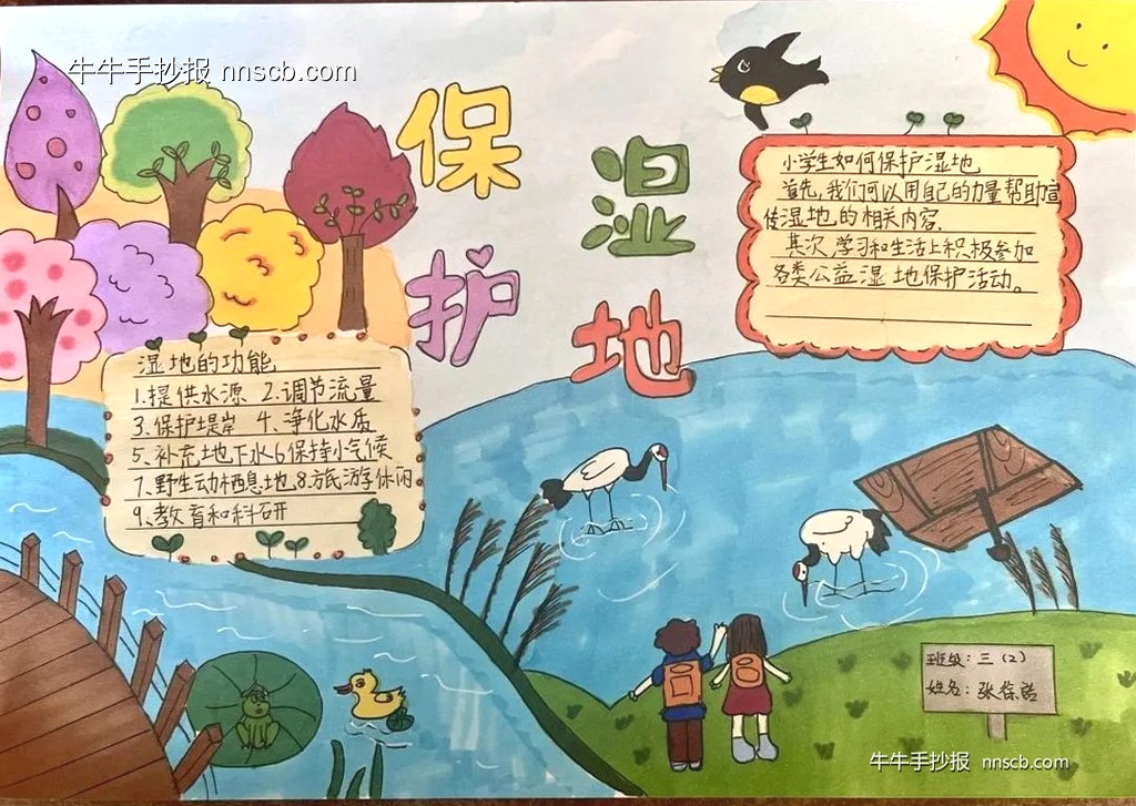 保护湿地 | 小学三年级世界湿地日手抄报7张-第6张
