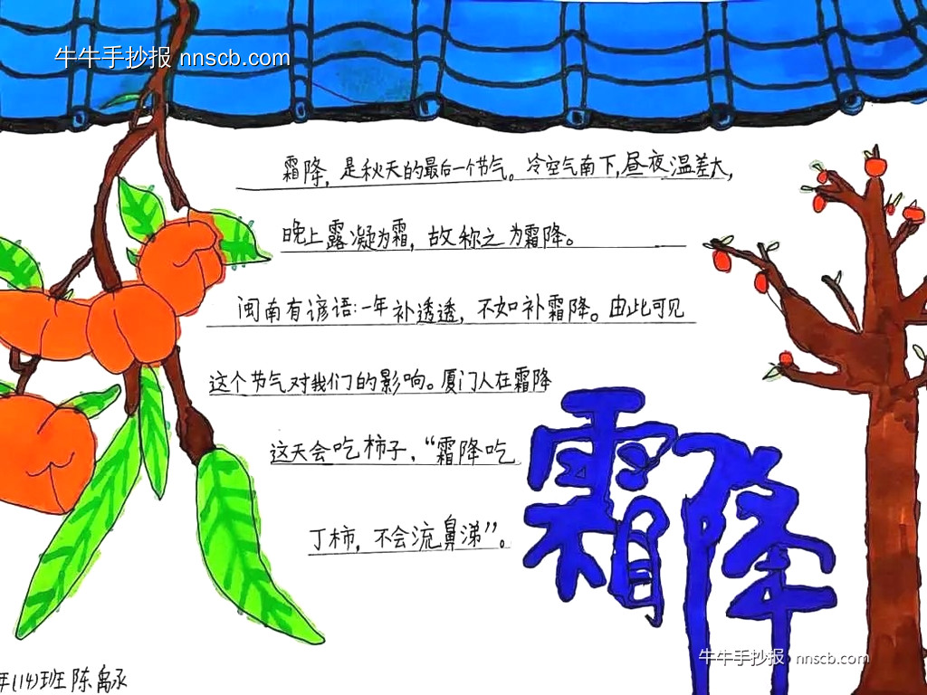 简单又漂亮的小学三年级霜降节气手抄报精选8张-第4张