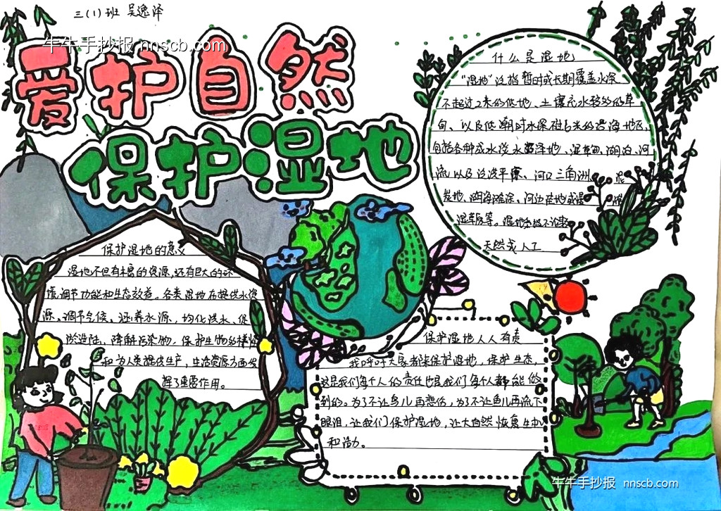 保护湿地 | 小学三年级世界湿地日手抄报7张-第4张
