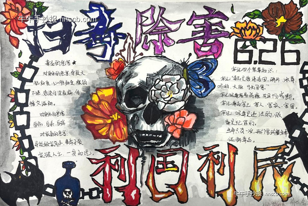 简单又漂亮的禁毒手抄报精选9张-第5张