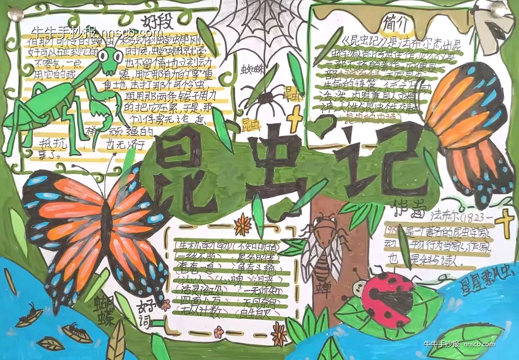书香正浓 成长最美 | 昆虫记手抄报2张-第2张