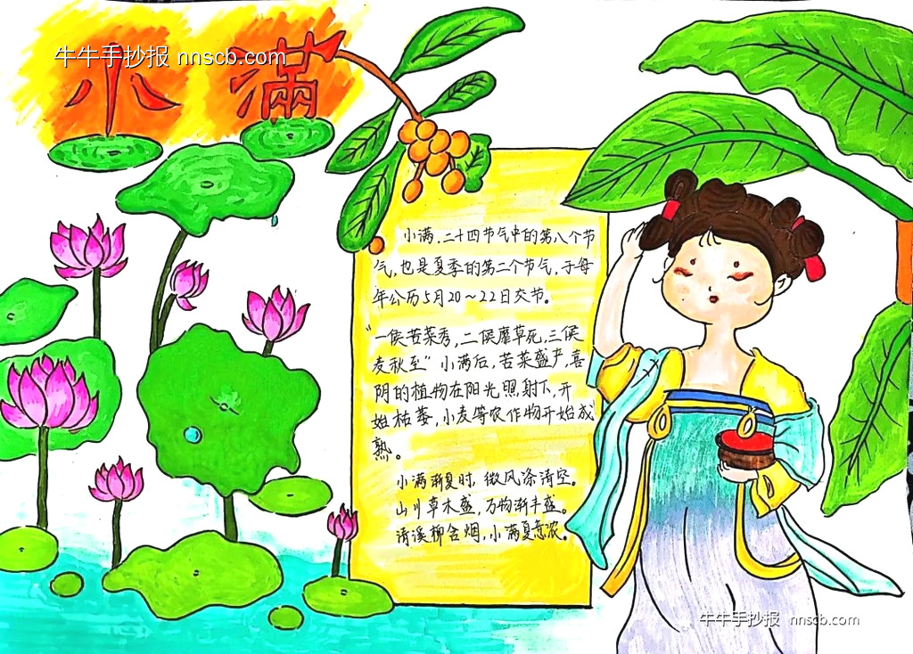 漂亮的中学八年级二十四节气之小满手抄报3张-第3张