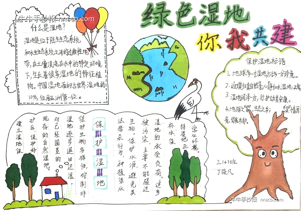 简单的三年级世界湿地日手抄报精选5张-第3张