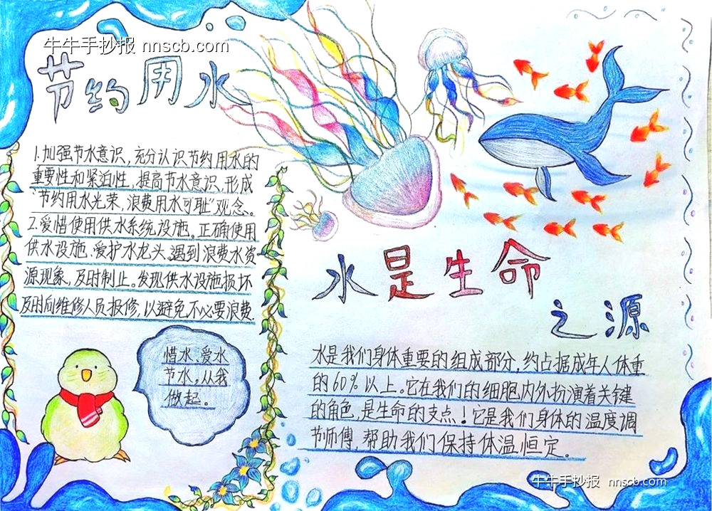 超漂亮的大专“滴水不漏”节水手抄报获奖作品6张-第3张