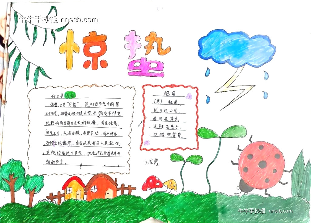 漂亮的小学生二十四节气惊蛰手抄报6张-第4张