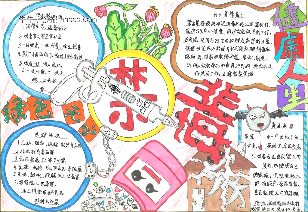 小学生禁毒知识手抄报比赛获奖作品6张-第6张