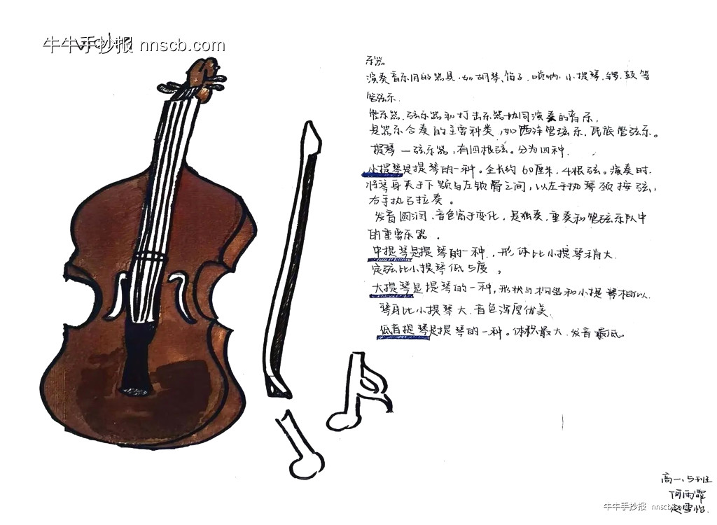 漂亮的高中高一年级“乐染纸上”学科融合手抄报7张-第6张