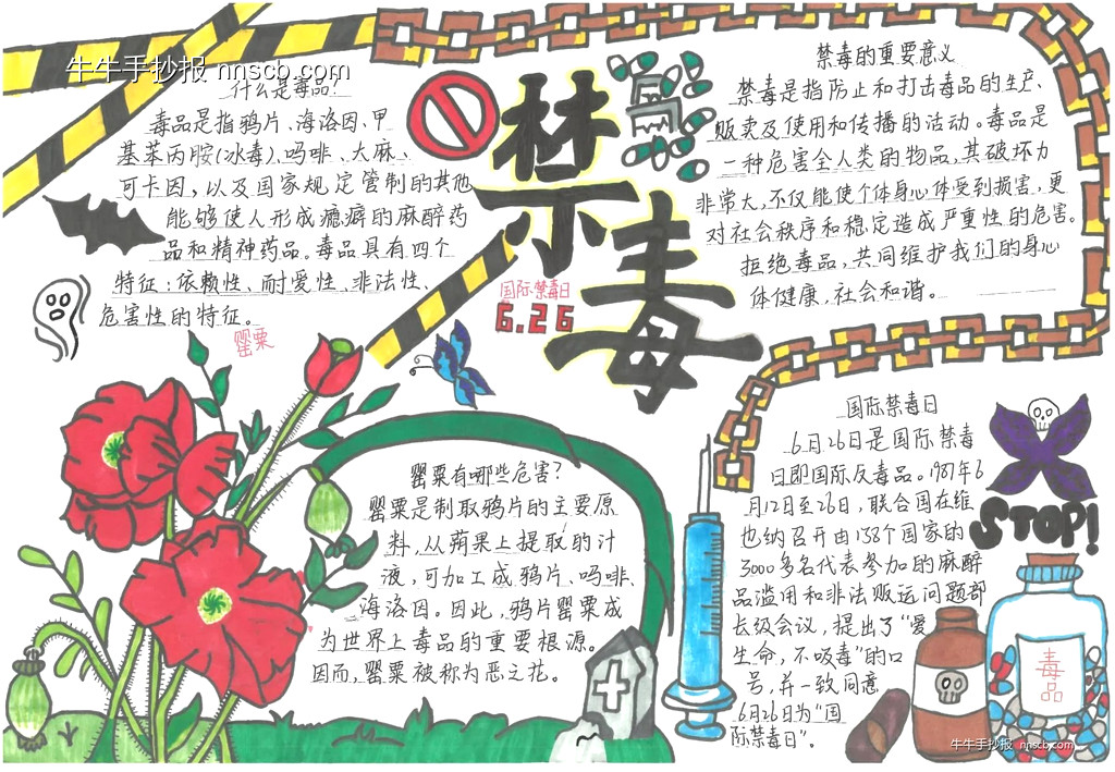 漂亮的小学生禁毒知识手抄报比赛作品6张-第3张