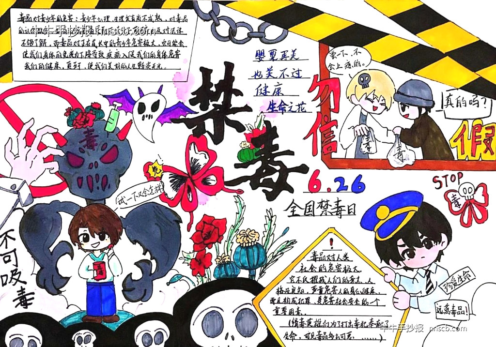 简单又大方的中学禁毒主题手抄报5张-第4张