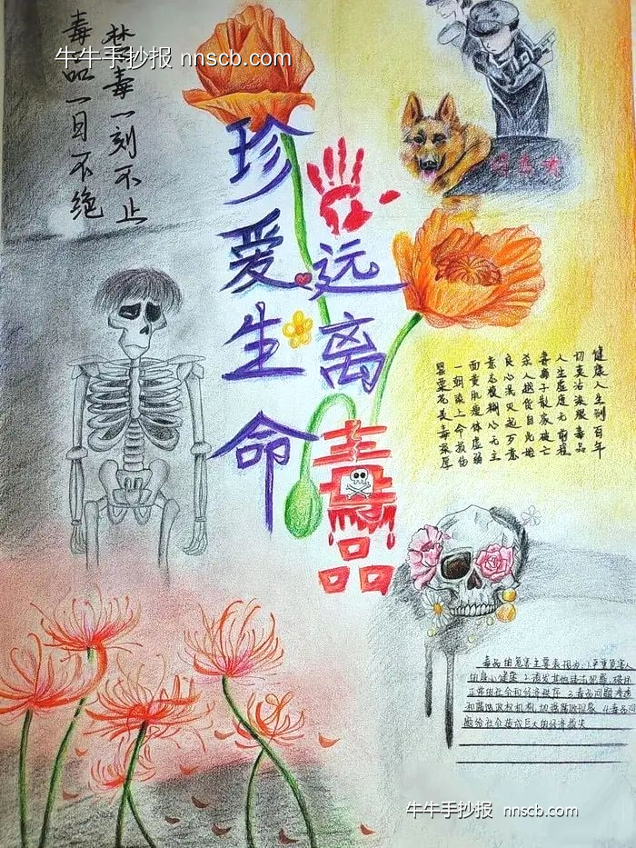 珍爱生命远离毒品手抄报获奖作品赏析2张-第2张