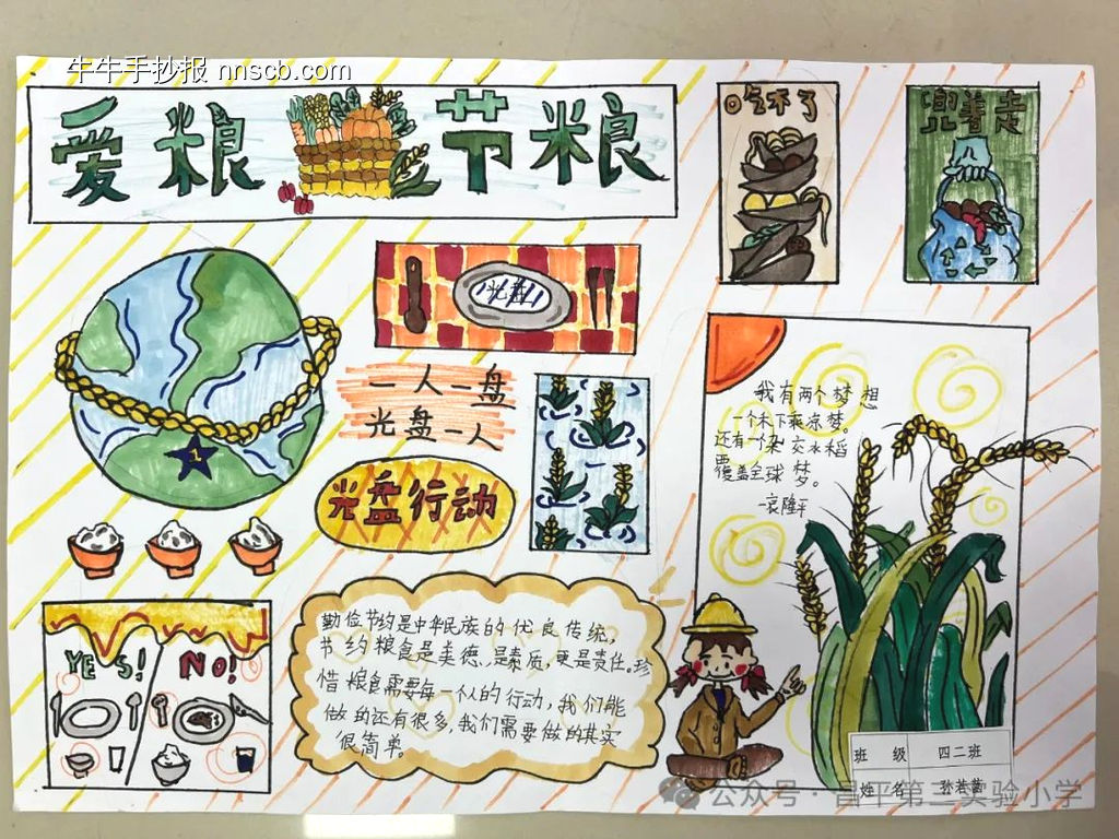 珍惜粮食,光盘行动手抄报5张简单又好画-第2张