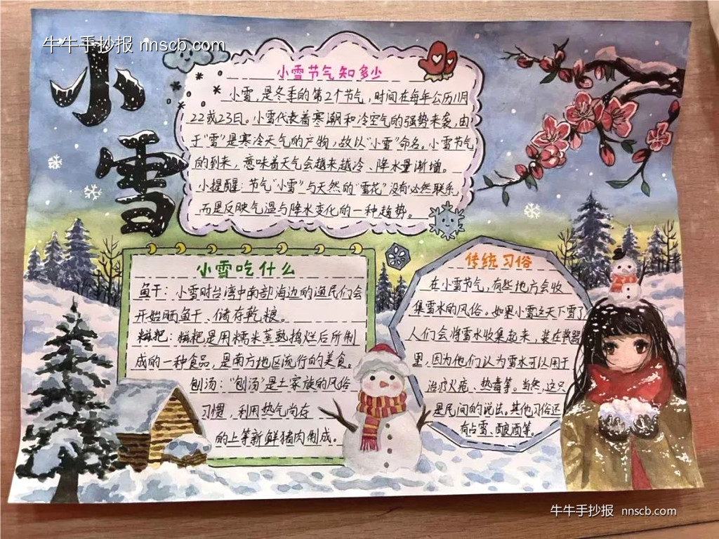 简单又好看的二十四节气之小雪手抄报9张-第8张