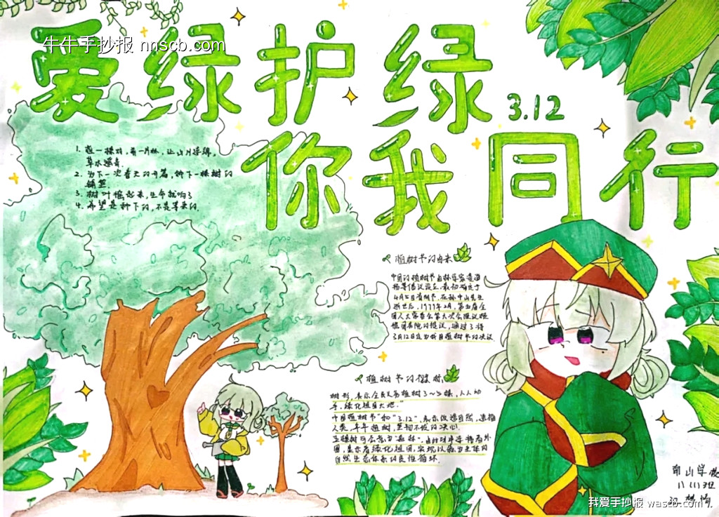 巧手绘绿色 环保记心间—植树节手抄报优秀作品二(6张)-第3张