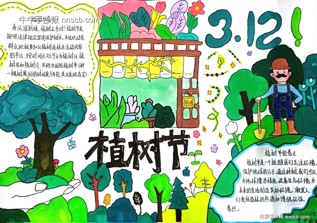 巧手绘绿色 环保记心间—植树节手抄报优秀作品一(6张)-第6张