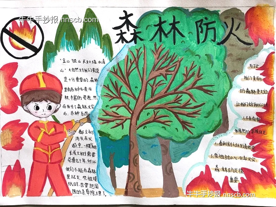 “森林防火 防溺水”手抄报作品欣赏(3张)-第3张