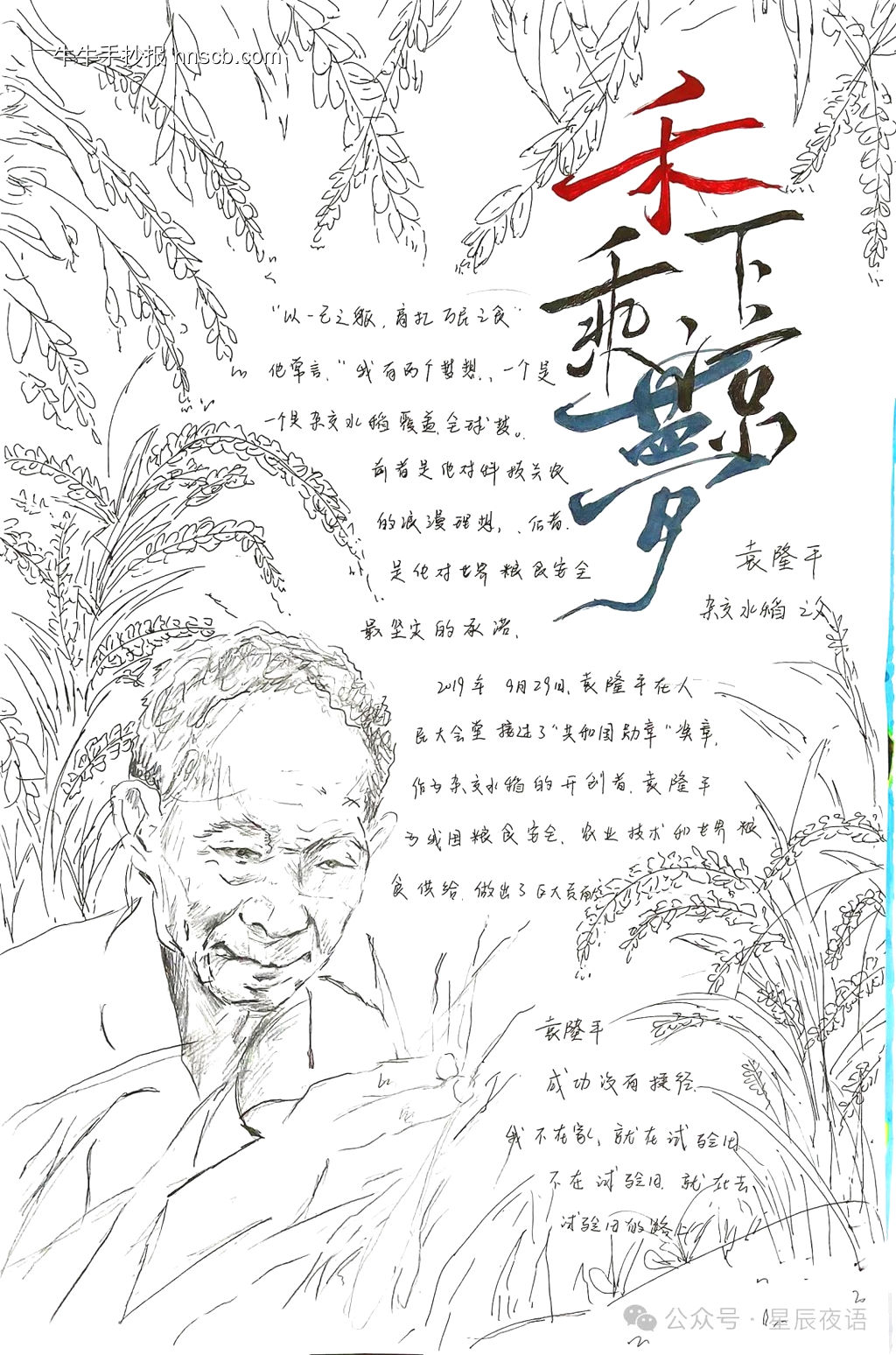 禾下乘凉梦,珍惜粮食主题手抄报-第2张