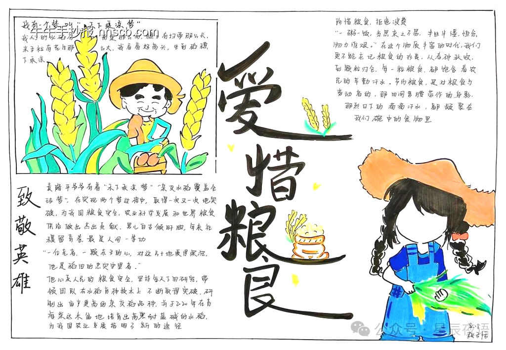 禾下乘凉梦,珍惜粮食主题手抄报-第3张