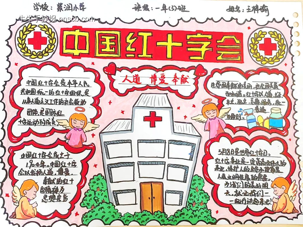 红十字青少年手抄报-第2张