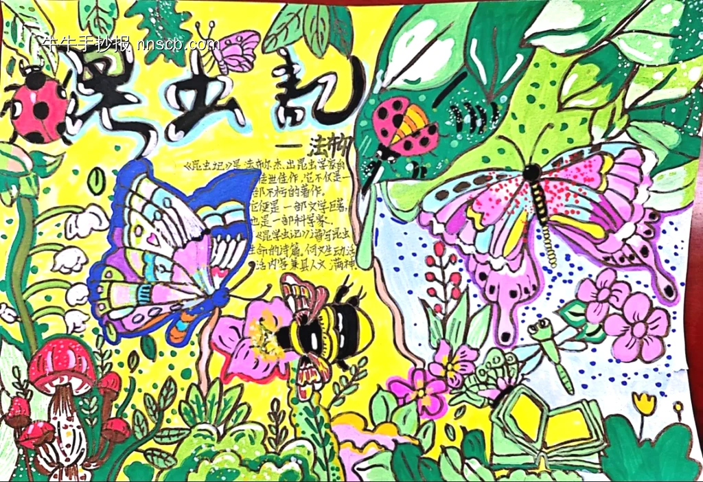 学生昆虫记手抄报-第1张