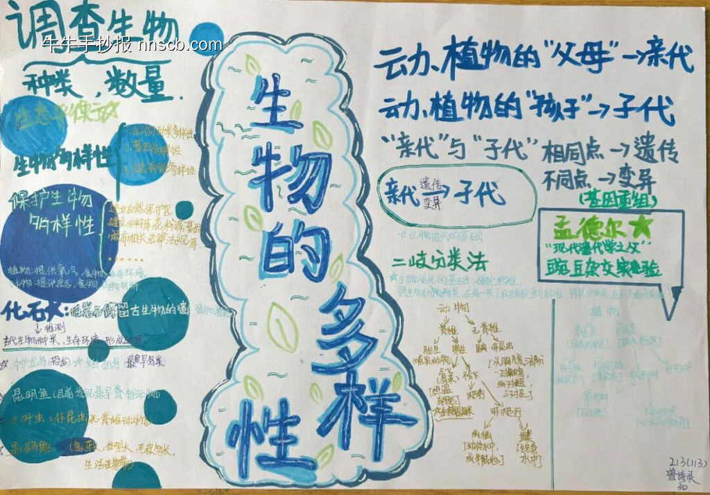 初中生物定格自然手抄报-第2张
