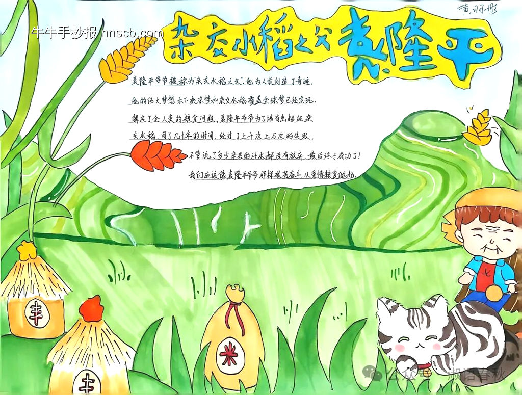 暑期科学家水稻之父袁隆平手抄报3张-第1张