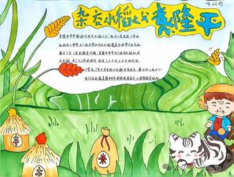 暑期科学家水稻之父袁隆平手抄报3张