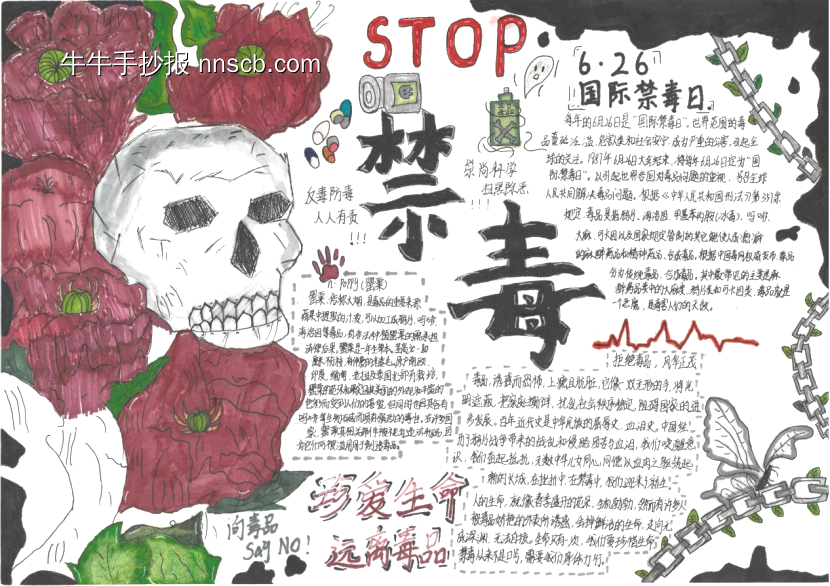 推荐5张关于禁毒主题手抄报-第5张