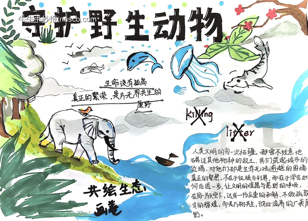 保护动物，人人有责主题手抄报漂亮3张-第1张