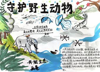 保护动物，人人有责主题手抄报漂亮3张