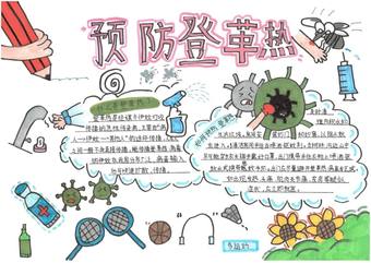 染病科普预防登革热手抄报8张
