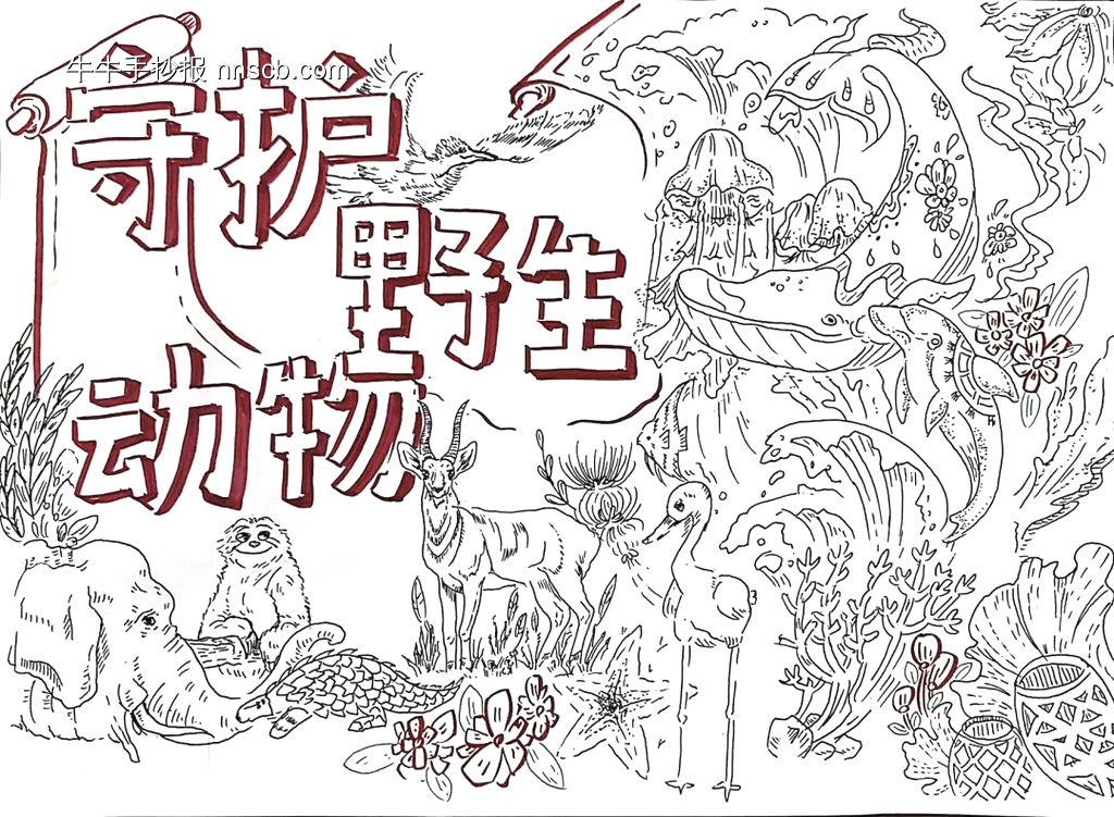 保护动物，人人有责主题手抄报漂亮3张-第3张