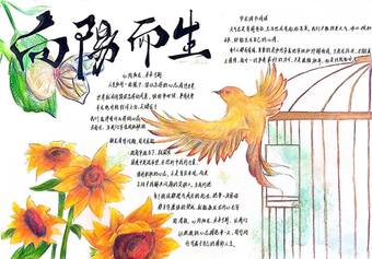 向阳而生——阳光心灵主题手抄报简单又漂亮6张