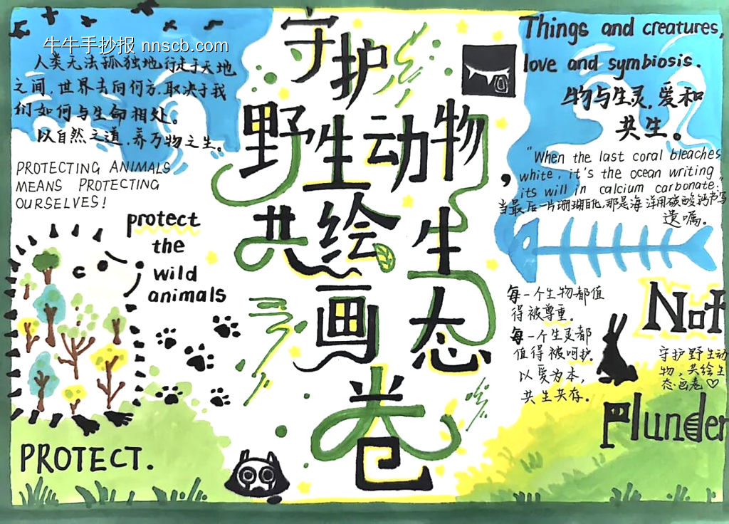 精选2张保护珍惜野生动物主题手抄报-第2张