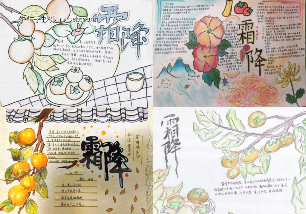 简单的霜降手抄报-第1张