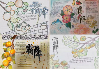 简单的霜降手抄报