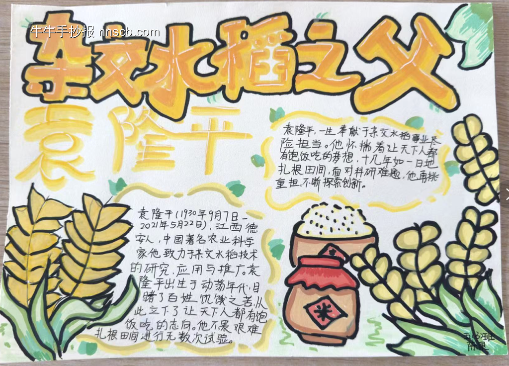 水稻之父——袁隆平主题手抄报-第2张