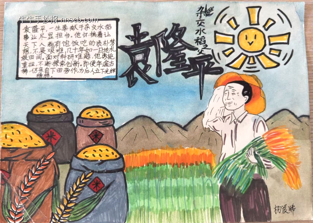 杂交水稻之父袁隆平手抄报3张-第1张