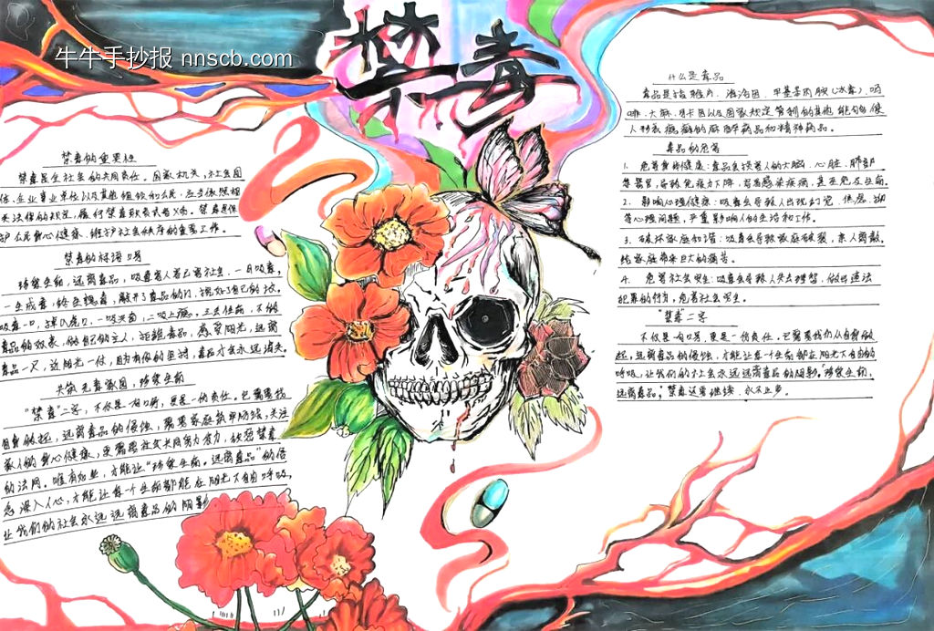 禁毒有“画”说，青春不“毒”行|禁毒手抄报14张-第12张