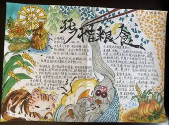 爱惜粮食主题手抄报